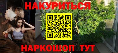 шишки Гагарин