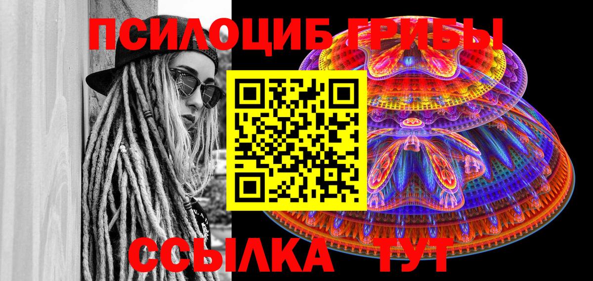 Псилоцибиновые грибы мицелий Губаха
