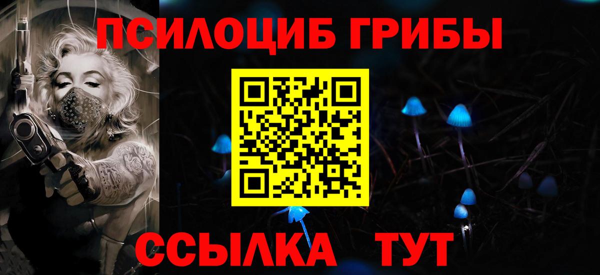 Губаха  где купить наркоту  Вход с VPN  Галлюциногенные грибы Psilocybe 