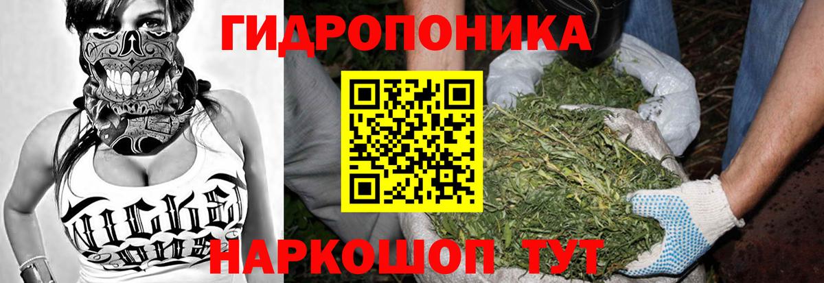 Бошки марихуана тримм  Канабис Ganja  Губаха  Вход с VPN 
